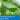 API Pond Stress Coat Pond Water Conditioner 16 oz. Bottle API