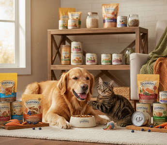 Evanger's Maintenance Food: Renal, Urinary, Weight Management & More