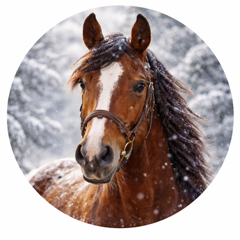 Shop Farm Care Supplies