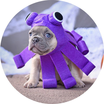 Halloween | Piccardmeds4pets.com