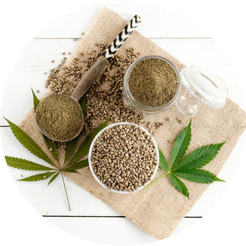 Hemp Products | Piccardmeds4pets.com