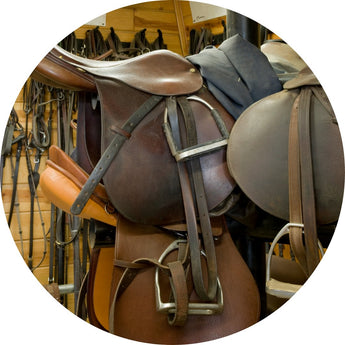 Horse Tack and Saddlery | Piccardmeds4pets.com