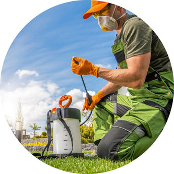 Insect/Pest Control Pesticide | Piccardmeds4pets.com