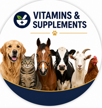 Vitamins & Supplements