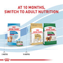 Royal Canin Size Health Nutrition Small Indoor Puppy Dry Dog Food, 2.5 lb bag