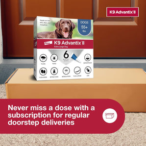 Bayer K9 Advantix II Flea Treatment for XL Dogs 2 Month Supply