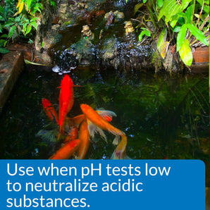 API Pond pH UP Pond Water pH Raising Solution 16 oz. Bottle