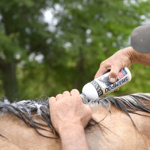 Banixx Horse Medicated Shampoo Anti-Fungal Anti-Bacterial 16 oz. Marine Collagen USA Made