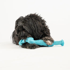 Playology Dri-Tech Rope Dog Toy for Senior Dogs Peanut Butter Scent Medium