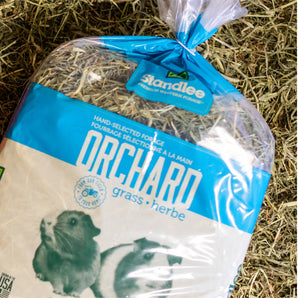 Standlee Premium Orchard Grass Hay 48oz. Bag Small Animal Forage USA Grown
