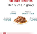 Royal Canin Hairball Care Thin Slices In Gravy Wet Cat Food, 3 oz. Can 12-Count