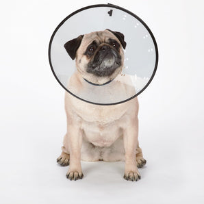 Total Pet Elizabethan E-collar Wound Protection Cone Pet Dog Collar, Clear XS