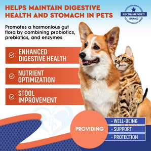 Wellness Natural Vitamins & Supplements for Dogs & Cats