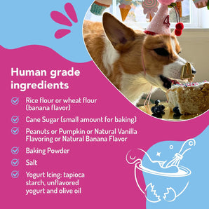 Puppy Cake Dog Birthday Cake Kit Pumpkin Flavor Celebration Treats USA Made