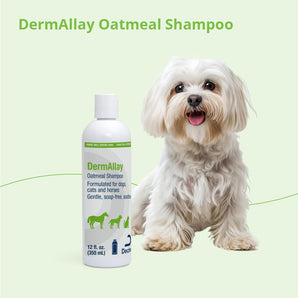 Dechra DermAllay Oatmeal Shampoo 12oz. Dogs Cats Horses Soothes Itchy Dry Skin