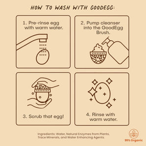GoodEgg Organic Egg Cleaner Food-Grade Non-Toxic Egg Wash with Foaming Pump 12fl oz.