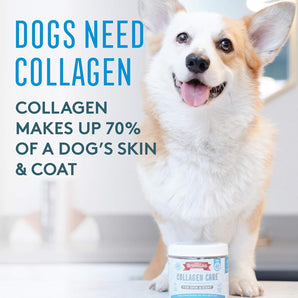 The Missing Link Collagen Care Skin Coat Soft Chews Dogs 60CT USA Made Natural Non-GMO