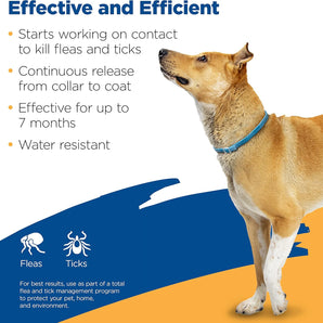 Zodiac Pet Flea & Tick Collar for Dogs & Puppies Necks Up to 25" 3-Pack