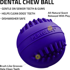 Playology Dental Chew Ball Toy for Senior Dogs Medium Pork Sausage