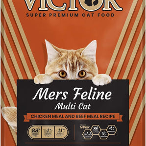 Victor Mer's Feline High Protein Dry Cat Food 5 lb + SPOT Big Mouse Bertha Catnip Plush Mouse Toy Bundle