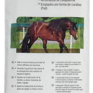 3M Animalintex Hoof & Leg Poultice Pad 8"X16"