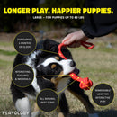 Playology Puppy Tough Knot Tug Toys with Squeaker for Puppies Up to 60lbs, Beef