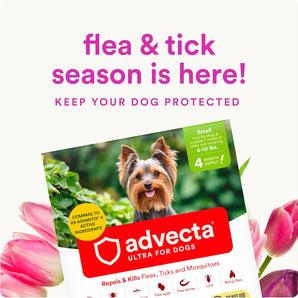 Advecta Ultra Flea Tick Small Dogs 4 Month Supply Waterproof Topical Fast Acting