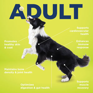 Vetericyn All-in Bone and Joint Supplement for Adult Dogs 90 Tablets