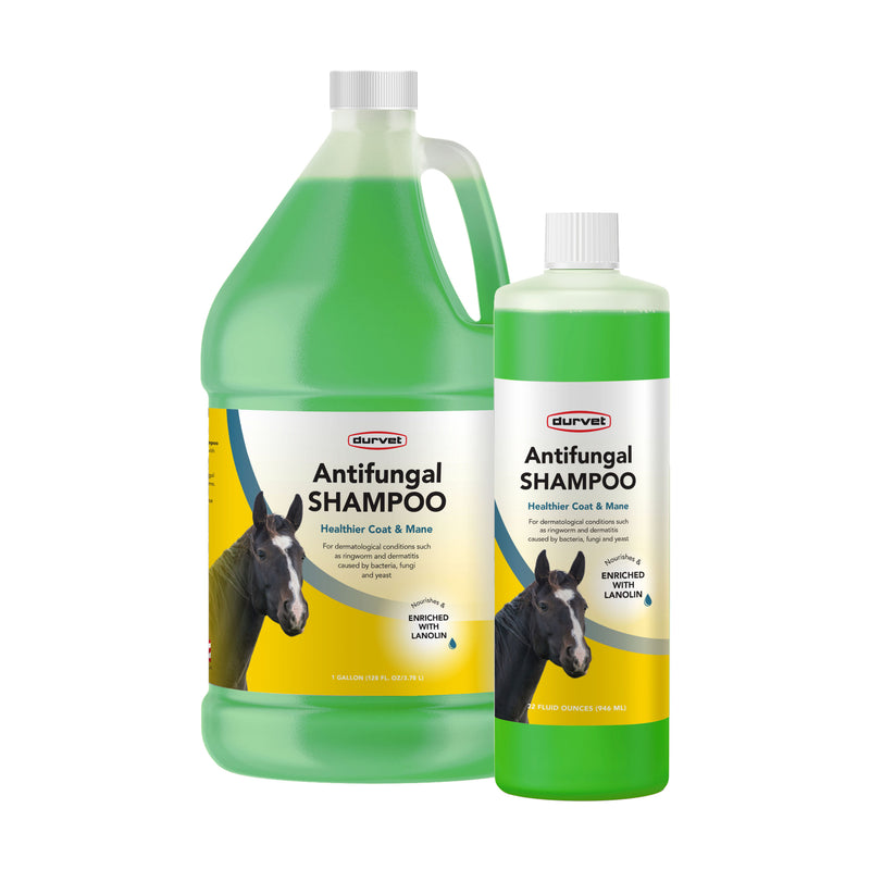 Durvet Antifungal Equine Shampoo 32 oz.