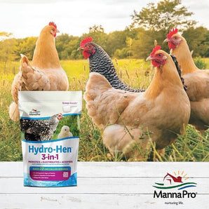 MannaPro Hydro-Hen Water Supplement 3-in-1 Probiotics 8 oz.