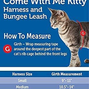 PetSafe Come With Me Kitty Cat Harness & Bungee Leash Medium Black