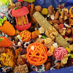 Play & Chew Rodent Fun  "No More Boredom" Box - Rats, Mice, Gerbils, Hamsters...