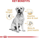 Royal Canin Labrador Retriever Adult Breed Specific Dry Dog Food, 17 lb. bag