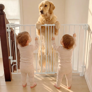 Boundless R30 ProFlex | Removable No-Trip Baby Gate for Stairs