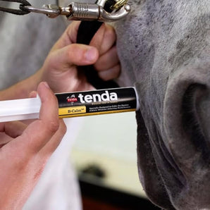 Tenda B-Calm Horse Paste Supplement with L-Tryptophan 30 cc