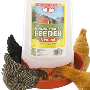 Little Giant 3Lbs Plastic Hanging Poultry Feeder Ideal for Chicks & Baby Quail