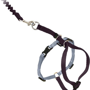 PetSafe Come With Me Kitty Cat Harness & Bungee Leash Medium Black