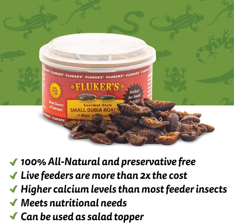 Fluker's Gourmet Canned Food for Reptiles, Small Dubia Roaches, 1.2 oz