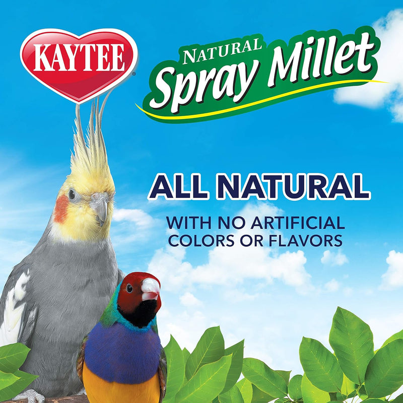 Kaytee Spray Millet for Birds 7 oz.