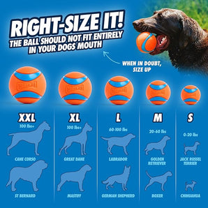 Chuckit! Sport 14S Dog Ball Launcher