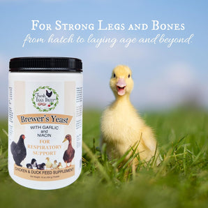 Fresh Eggs Daily Brewers Yeast 16 oz. Garlic Niacin Chicken Duck Bone Immunity