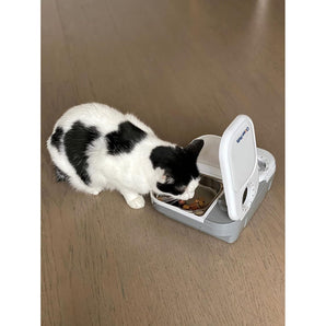 Closer Pets Two-Meal Automatic Pet Feeder with Stainless Steel Bowl Inserts, C200