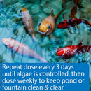 API Pond Algaefix Algae Control Solution 1 Gallon API