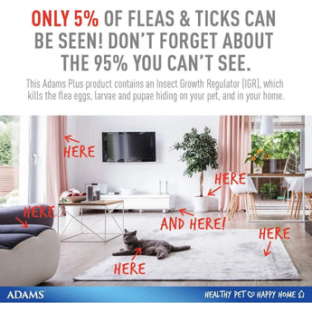 Adams Plus Pet Fleas & Ticks Spray for Cats and Dogs 16 oz. Adams