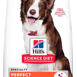 Wellness Chicken Puppy Dog Hill's Science Diet Adult Perfect Digestion Chicken, Brown Rice & Whole Oats Recipe Dry Food Bag