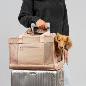 Beige Pet Travel Carrier