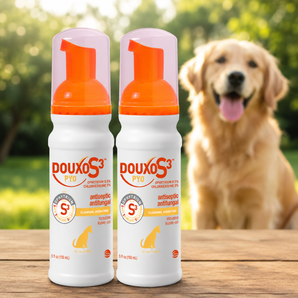 Douxo S3 PYO Mousse Dogs & Cats No-Rinse Skin Coat Care 5.1 oz 2-Pack