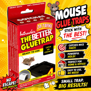 Intruder The Better Mouse Glue Traps Small Black 4-Pack