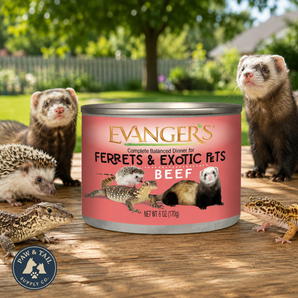 Evanger's Beef Dinner for Ferrets & Exotic Pets Grain Free 6 oz. Can 12-Pack