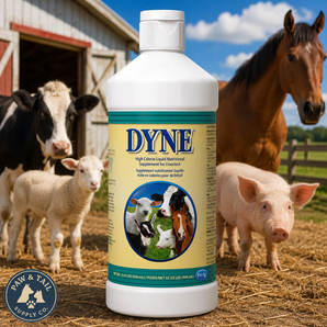 PetAg Dyne High Calorie Liquid Nutritional Supplement for Livestock 32 oz.